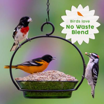 Show full view: Harvest Seed & Supply No Waste Corn Free Wild Bird Food, 10-lb bag, bundle of 3 slide 7 of 10