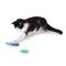 Show in main carousel: Hauspanther Atomic Flyers Catnip Chaser Cat Toy, 4 count, Ocean slide 3 of 3