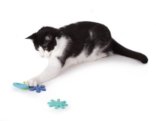 Show full view: Hauspanther Atomic Flyers Catnip Chaser Cat Toy, 4 count, Ocean slide 3 of 3