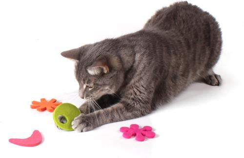 Show full view: Hauspanther Atomic Flyers Catnip Chaser Cat Toy, 4 count, Zest slide 4 of 4