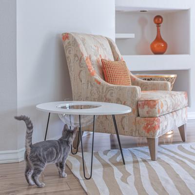 Show full view: Hauspanther NestEgg Raised Cat Bed & Side Table, White slide 3 of 11