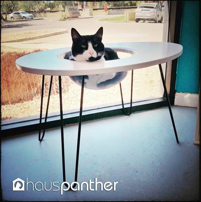 Show full view: Hauspanther NestEgg Raised Cat Bed & Side Table, White slide 8 of 11