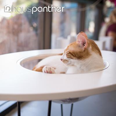 Show full view: Hauspanther NestEgg Raised Cat Bed & Side Table, White slide 9 of 11