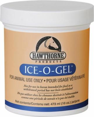 Show full view: Hawthorne Products Horse First Aid Ice-O-Gel, 16-fl oz slide 4 of 7
