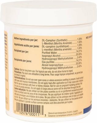 Show full view: Hawthorne Products Horse First Aid Ice-O-Gel, 16-fl oz slide 3 of 7