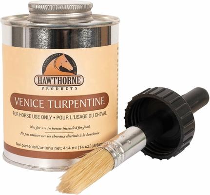 Show full view: Hawthorne Products Horse First Aid Venice Turpentine with Brush, 14-oz slide 1 of 8
