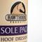 Show in main carousel: Hawthorne Products Sole Pack Medicated Liquid Horse Hoof Dressing with Brush, 16-fl oz slide 4 of 4