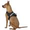 Show in main carousel: HDP Big Dog No Pull Dog Harness, Black, Large slide 4 of 11