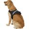 Show in main carousel: HDP Big Dog No Pull Dog Harness, Black, X-Large slide 4 of 11