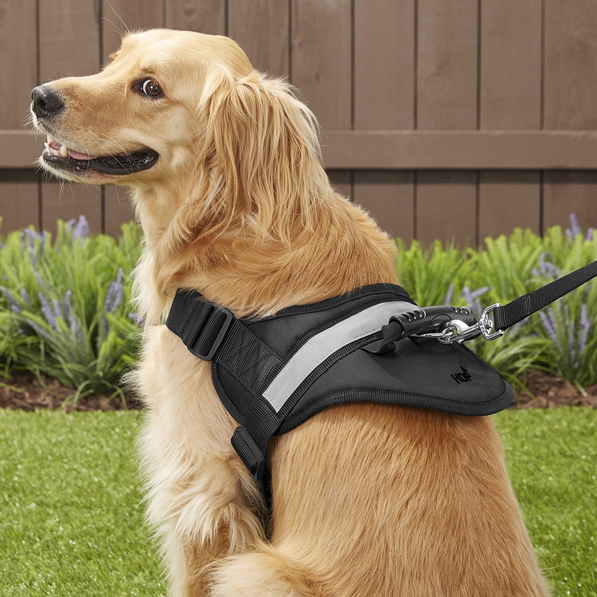 HDP Big Dog No Pull Dog Harness