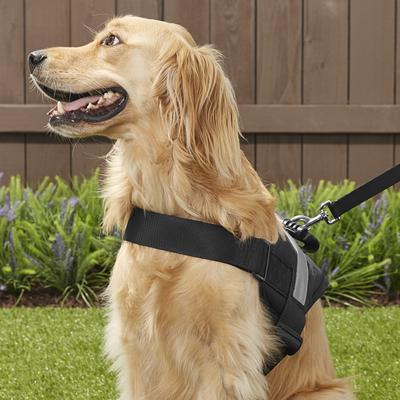 Show full view: HDP Big Dog No Pull Dog Harness, Black, X-Large slide 6 of 11