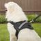 Show in main carousel: HDP Big Dog No Pull Dog Harness, Black, XX-Large slide 6 of 11