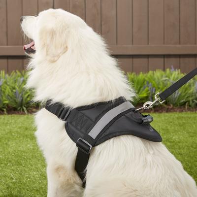 Show full view: HDP Big Dog No Pull Dog Harness, Black, XX-Large slide 6 of 11