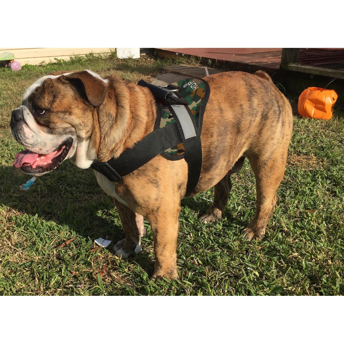 HDP Big Dog No Pull Dog Harness, Camo, X-Large