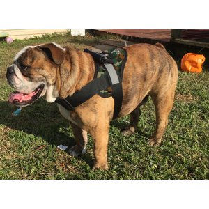 HDP Big Dog No Pull Dog Harness, Camo, X-Large