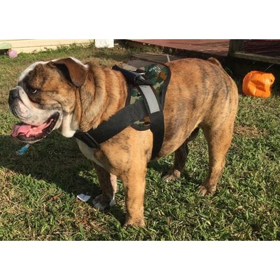 HDP HDP Big Dog No Pull Dog Harness, Camo, X-Large