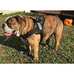 HDP Big Dog No Pull Dog Harness, Camo, XX-Large