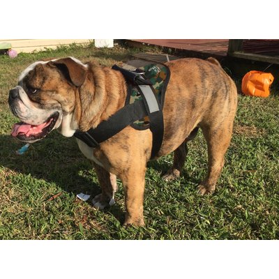 HDP HDP Big Dog No Pull Dog Harness, Camo, XX-Large