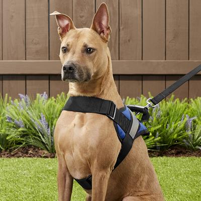 Show full view: HDP Big Dog No Pull Dog Harness, Navy, Large slide 5 of 11