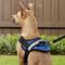 Show in main carousel: HDP Big Dog No Pull Dog Harness, Navy, Large slide 6 of 11