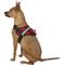 Show in main carousel: HDP Big Dog No Pull Dog Harness, Red, Large slide 4 of 11