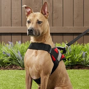 HDP Big Dog No Pull Dog Harness, Red, Large