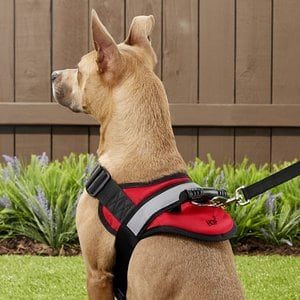 HDP Big Dog No Pull Dog Harness, Red, Large