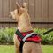 Show in main carousel: HDP Big Dog No Pull Dog Harness, Red, Large slide 6 of 11