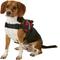 Show in main carousel: HDP Big Dog No Pull Dog Harness, Red, Medium slide 3 of 11