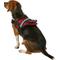 Show in main carousel: HDP Big Dog No Pull Dog Harness, Red, Medium slide 4 of 11