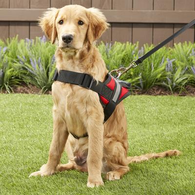 Show full view: HDP Big Dog No Pull Dog Harness, Red, Medium slide 5 of 11