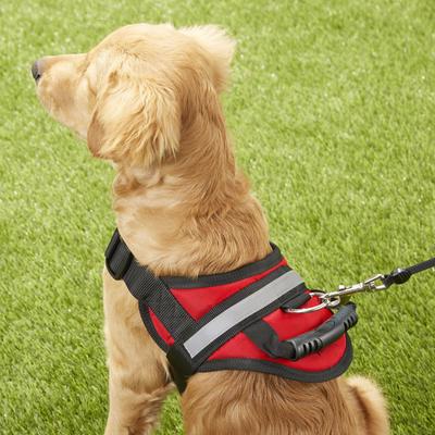 Show full view: HDP Big Dog No Pull Dog Harness, Red, Medium slide 6 of 11