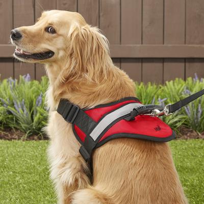 Show full view: HDP Big Dog No Pull Dog Harness, Red, X-Large slide 5 of 11