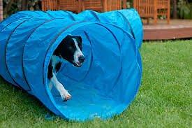 Show full view: HDP Collapsible Agility Dog Training Tunnel, Blue slide 3 of 5