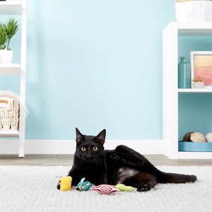 HDP Grab Bag Assorted Catnip Cat Toys, 24 count