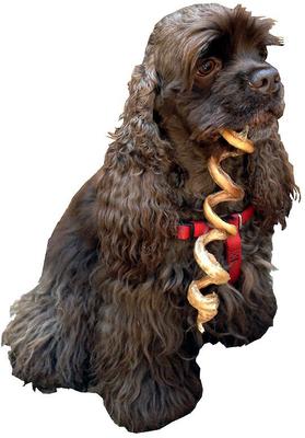 Show full view: HDP Jumbo Curly Bully Sticks 7-9" Dog Treats, 25 count slide 4 of 6