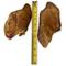 Show in main carousel: HDP Large Roasted Pig Ears Natural Chew Dog Treats, 100-pack slide 3 of 4