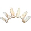 HDP Natural Rabbit Ears Dog Chew, 50 count