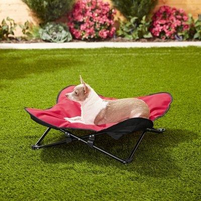 HDP HDP Padded Napper Elevated Dog Bed, Red, Medium