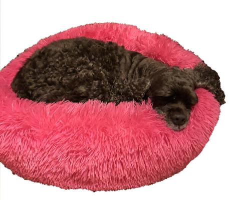 Show full view: HDP Round Fuzzy Bolster Dog Bed, Pink slide 2 of 3