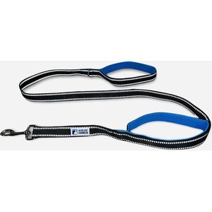 Headlight Harness Double Handle Reflective Dog Leash, 6-ft, Blue