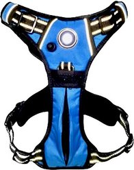 Headlight Harness LED Light Dog Harness, Blue, Large