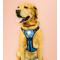 Show in main carousel: Headlight Harness LED Light Dog Harness, Blue, Large slide 4 of 10