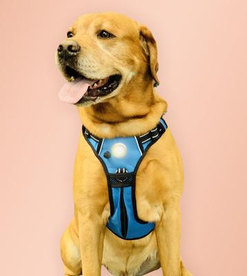 Show full view: Headlight Harness LED Light Dog Harness, Blue, Large slide 4 of 10