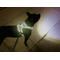 Show in main carousel: Headlight Harness LED Light Dog Harness, Blue, Large slide 6 of 10