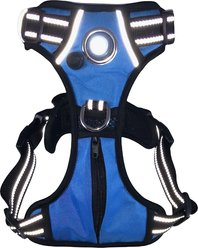 Headlight Harness LED Light Dog Harness, Blue, Small slide 1 of 7