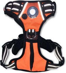 Headlight Harness LED Light Dog Harness, Orange, Medium