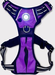 Headlight Harness LED Light Dog Harness, Purple, Large