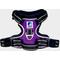 Show in main carousel: Headlight Harness LED Light Dog Harness, Purple, X-Small slide 3 of 8