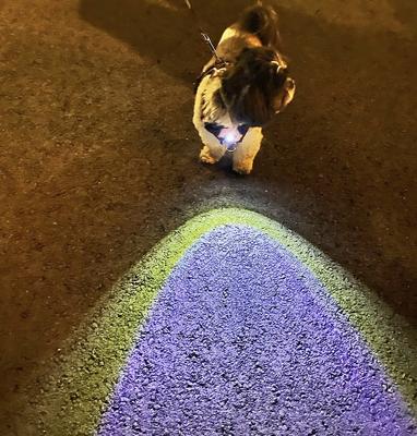 Show full view: Headlight Harness LED Light Dog Harness, Purple, X-Small slide 5 of 8